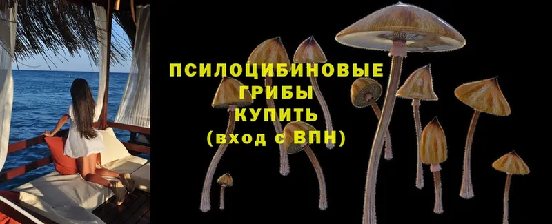 Псилоцибиновые грибы мухоморы  Добрянка 